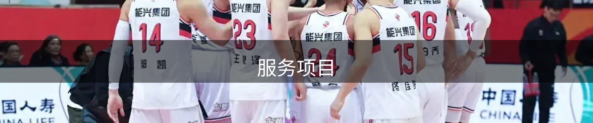 服务项目
